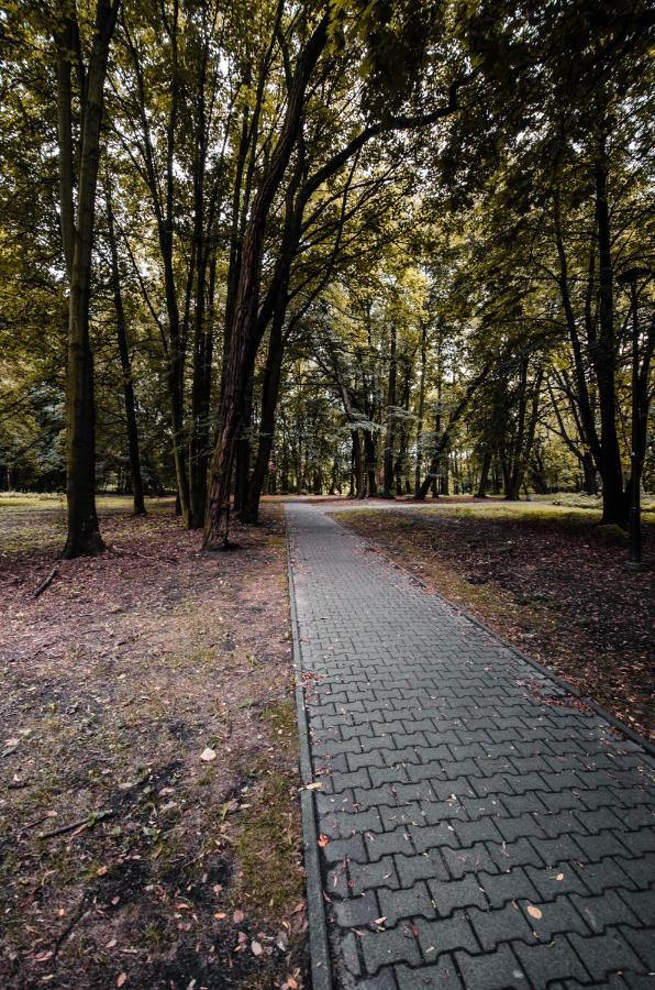 Apartament Deluxe Arcon Siemianowice Slaskie Exterior photo
